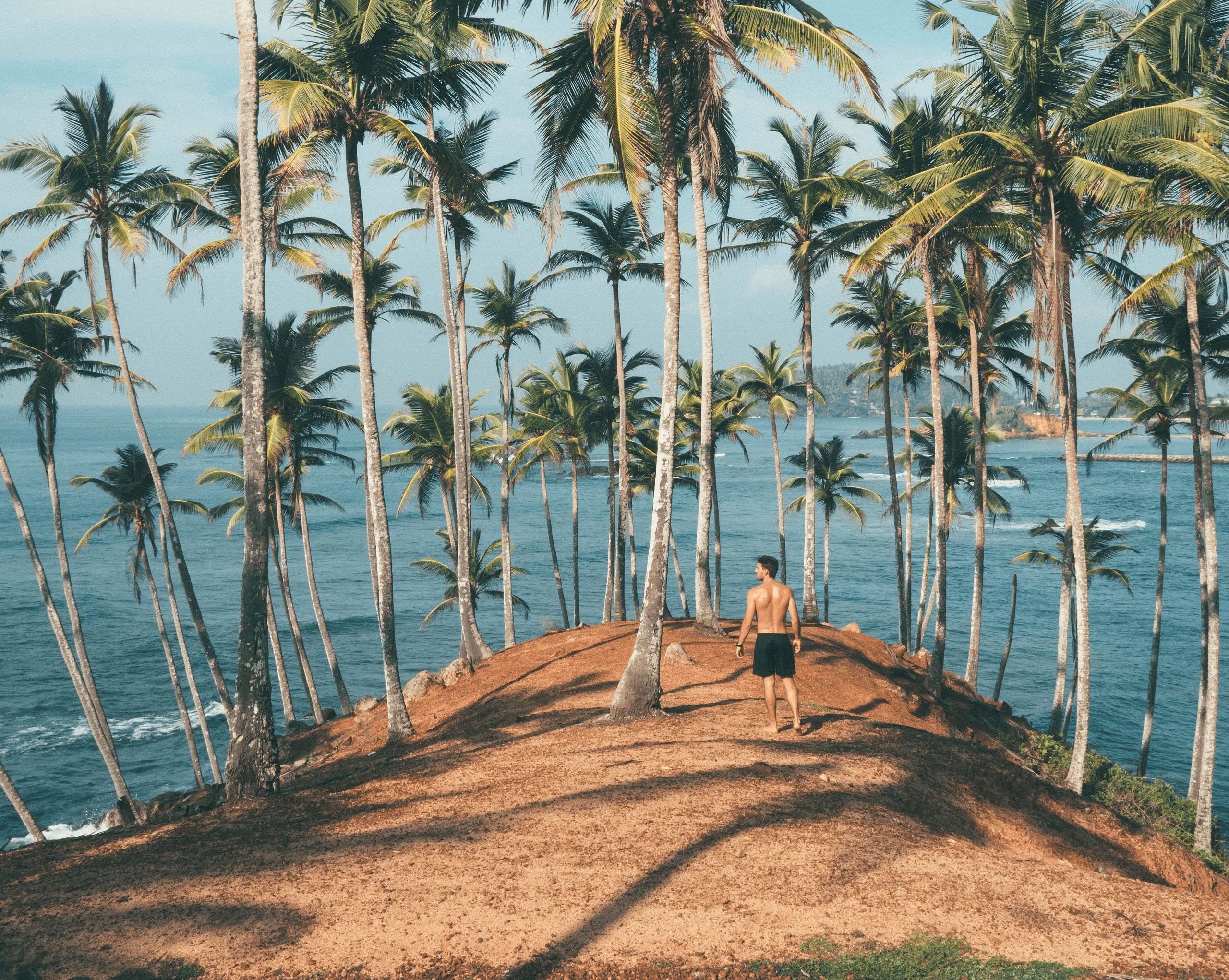 Palm trees of Coconut Tree Hill overlooking the turquoise bay of Mirissa at golden hour