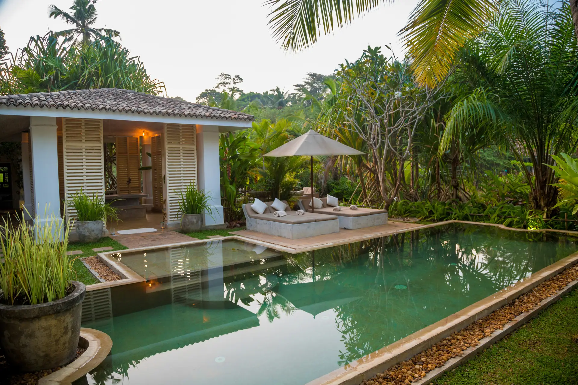 A private Mirissa villa with a saltwater pool framed by palms