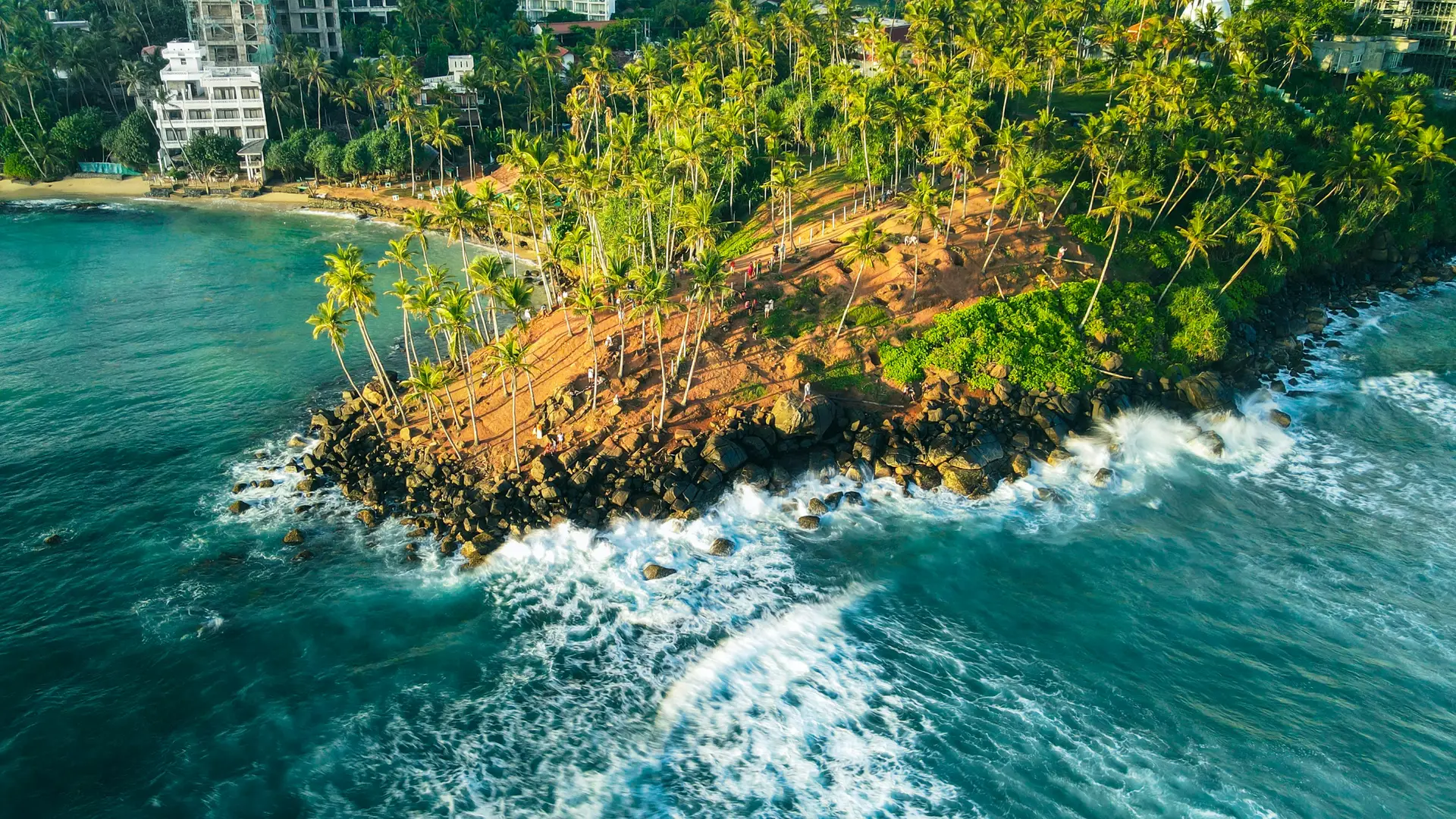 Aerial view of Mirissa's palm-covered headland meeting the surf