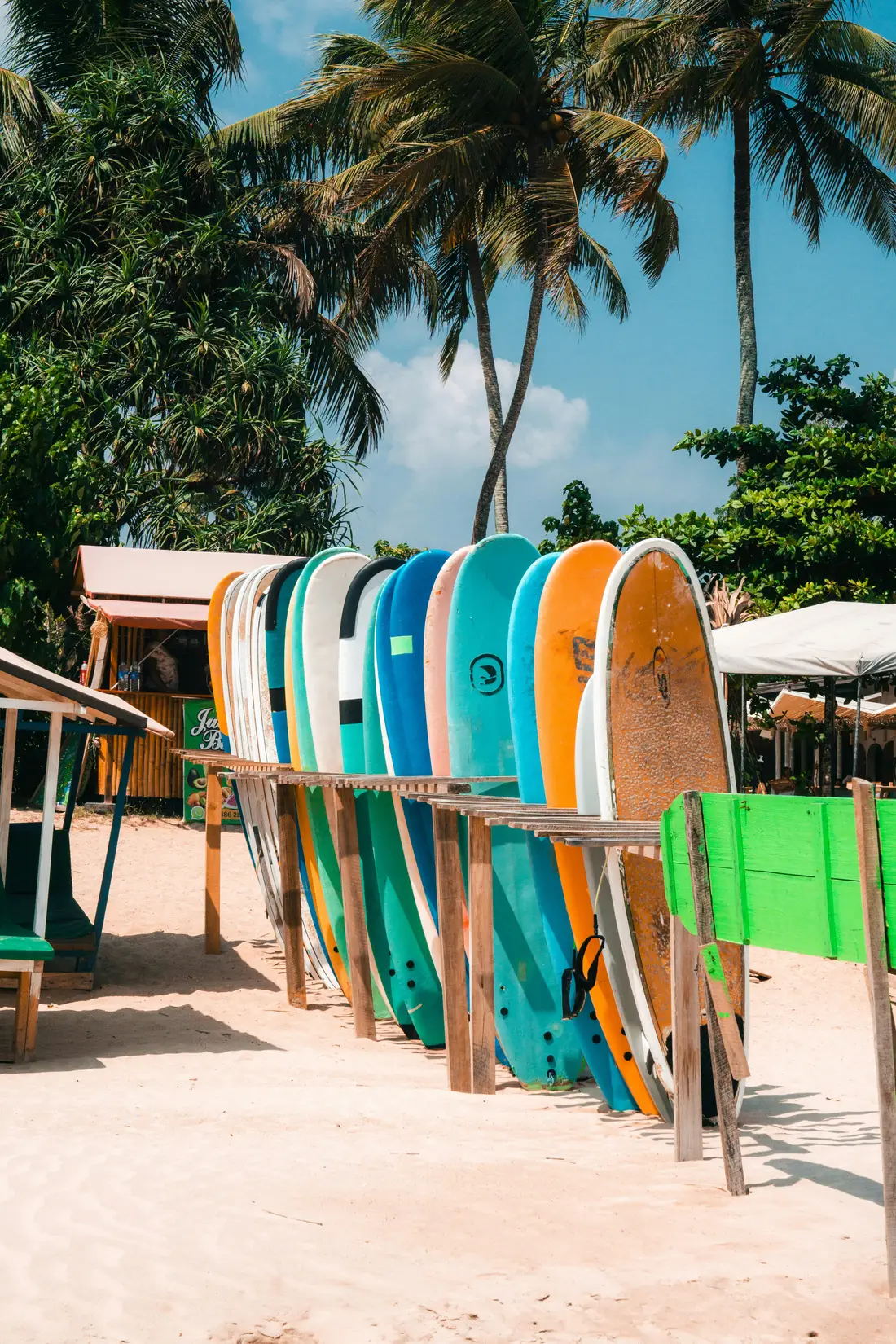 Rows of bright longboards lined up under palms on Mirissa beach
